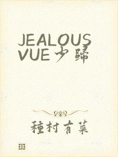 JEALOUSVUE少归