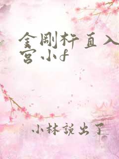 金刚杵直入莲花宫小f