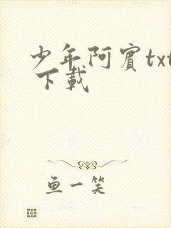 少年阿宾txt 下载