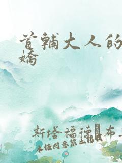 首辅大人的掌心娇