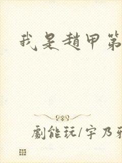 我是赵甲第小说