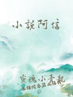 小说阿信