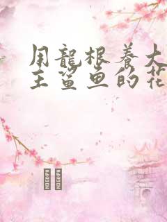 用龙根养大的公主鲨鱼的花