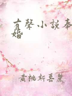 有声小说奉子成婚