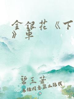 金银花《下厨房》车