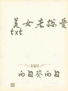 美女老总爱上我txt