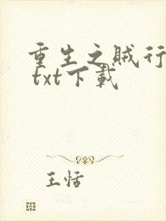 重生之贼行天下 txt下载