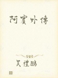 阿宾外传