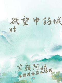 欲望中的城市txt