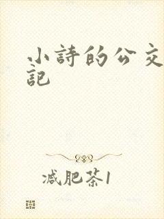 小诗的公交车日记