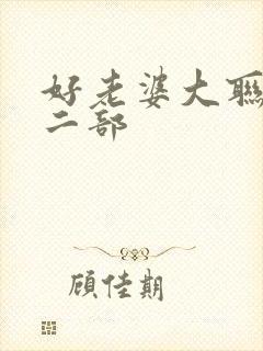 好老婆大联盟第二部
