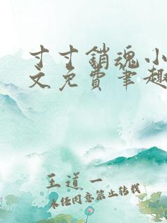 寸寸销魂小说全文免费笔趣阁