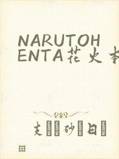 NARUTOHENTA花火本子