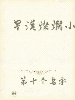 星汉灿烂小说