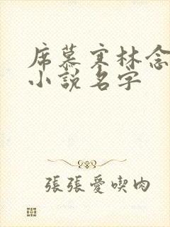 席慕寒林念儿的小说名字