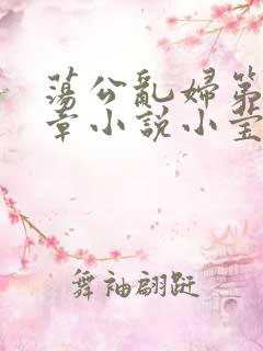荡公乱妇第51章小说小莹
