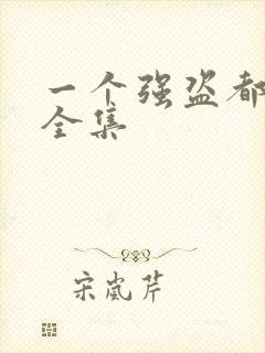 一个强盗都不留全集