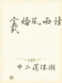 金婚风雨情 下载