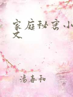 家庭秘密小说全文