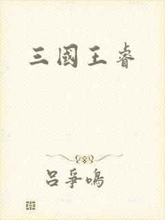 三国王睿