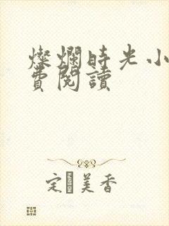 灿烂时光小说免费阅读