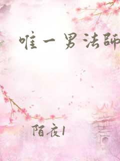 唯一男法师