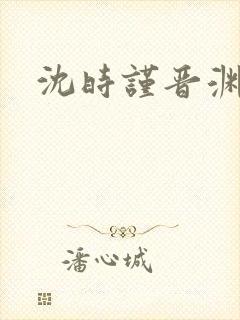 沈时谨晋渊小说