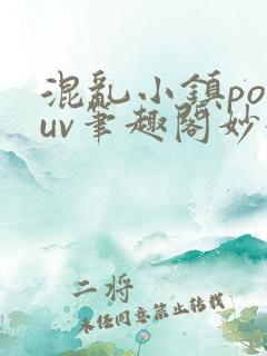 混乱小镇popuv笔趣阁妙妙