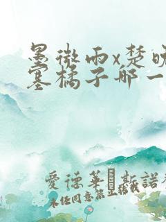 墨微雨x楚晚宁塞橘子哪一章