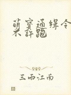 萌宝通缉令妈味不许跑