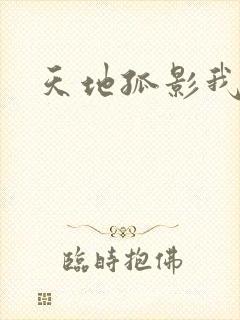天地孤影我独行