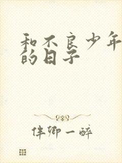 和不良少年战斗的日子