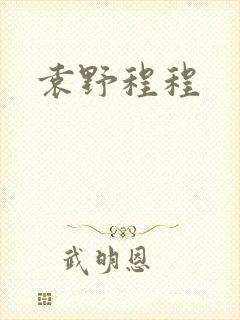 袁野程程