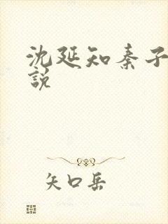 沈延知秦子卿小说