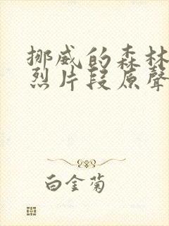 挪威的森林的激烈片段原声