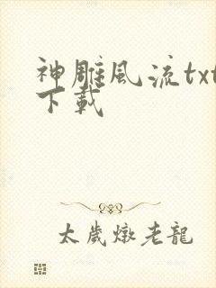 神雕风流txt下载
