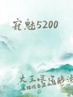 宠魅5200