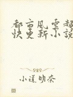 都市风云超前超快更新小说