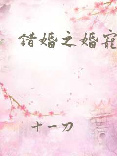 错婚之婚宠一世