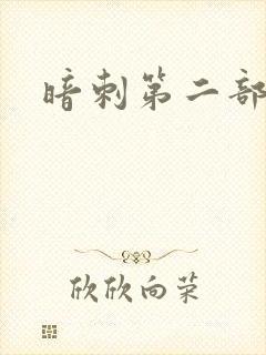 暗刺第二部