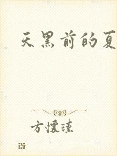 天黑前的夏天