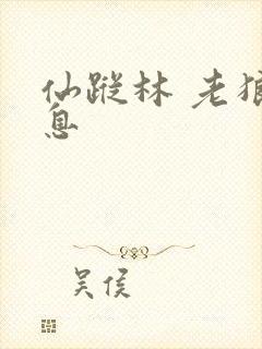 仙踪林 老狼信息