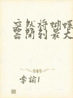 突然将蝴蝶遥控器开到最大