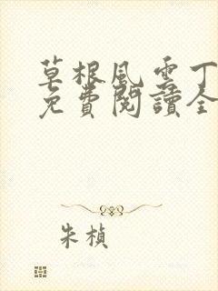 草根风云丁长生免费阅读全本