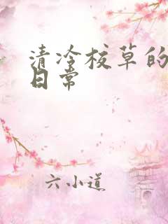 清冷校草的抹布日常