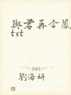 与君再合凤求凰txt
