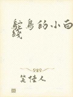 鸵鸟的小白脸路线