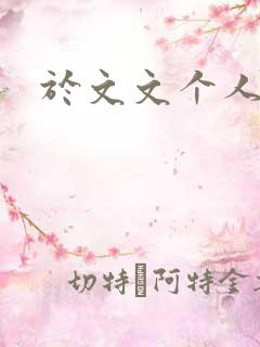 于文文个人简历