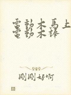 电动木马上两个电动木棒