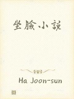 坐脸小说